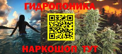 соль ск Кулебаки