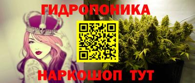 соль ск Кулебаки
