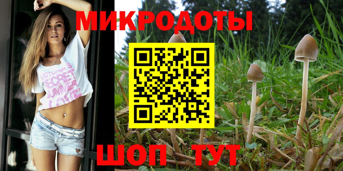 Галлюциногенные грибы GOLDEN TEACHER Иваново